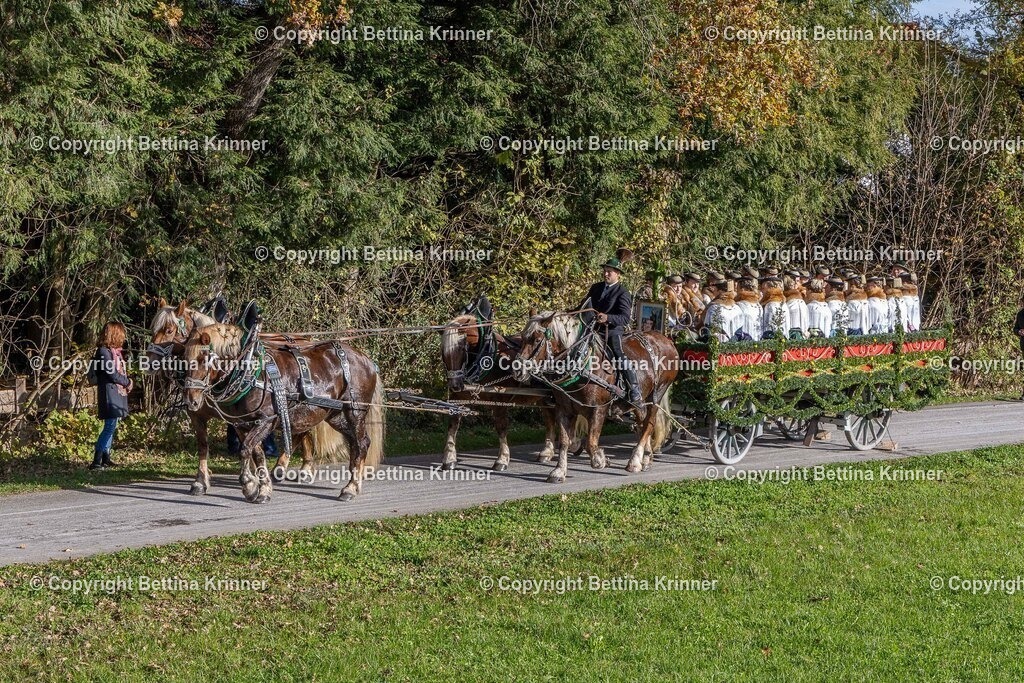 LBT24-312 | foto-bettina-krinner - Realisiert mit Pictrs.com