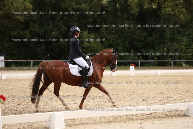 HG9A1662 | laurarinckfotografie - Realisiert mit Pictrs.com