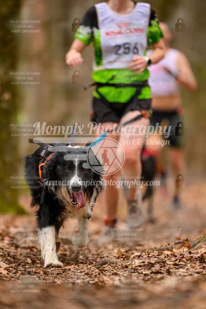 MompixPhotography_Habay2025_SA_CCC-31 | PayLife