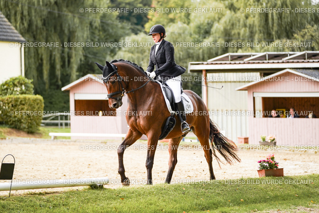 DSC09106 | Pferdegrafie