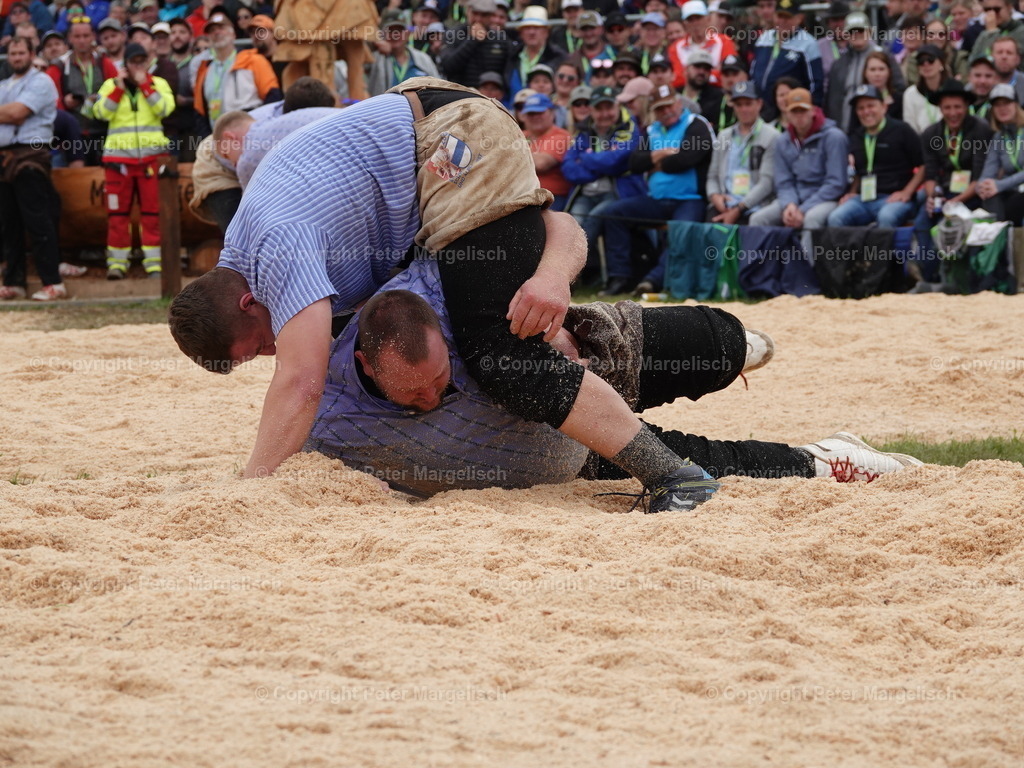DSC08071 | Schwingen - Realisiert mit Pictrs.com