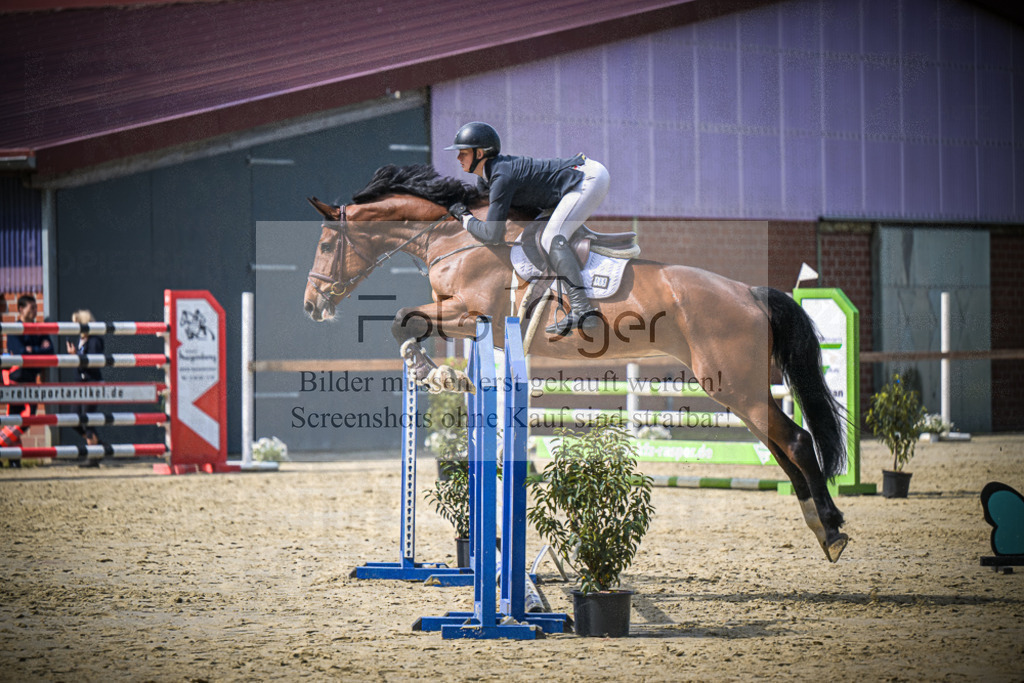 DOS_7165 | Entdecke hochwertige Reitturnierfotos von Foto Oger. Professionell, emotional und authentisch – jetzt Lieblingsmomente im Shop bestellen.Deutschlandweite Turnierfotografie. - Realisiert mit Pictrs.com