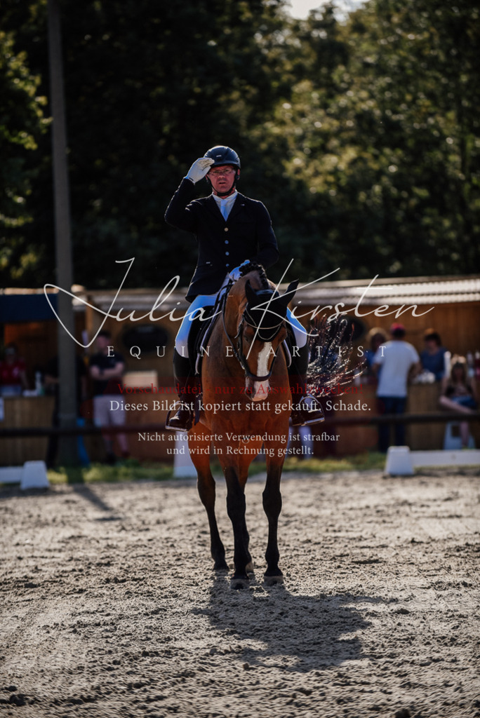 DSC_0588 | Pferde- und Turnierfotografie in Westsachsen. Pferdeportraits, Auftragszeichnungen und intuitive Kunst.