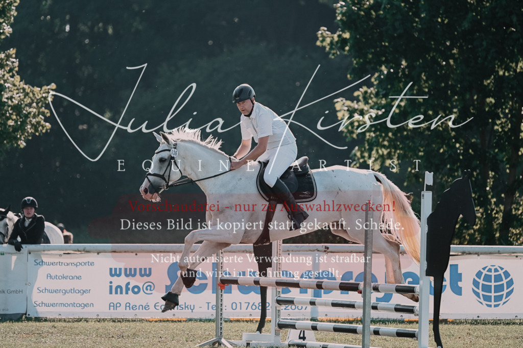 DSC_4558 | Pferde- und Turnierfotografie in Westsachsen. Pferdeportraits, Auftragszeichnungen und intuitive Kunst.