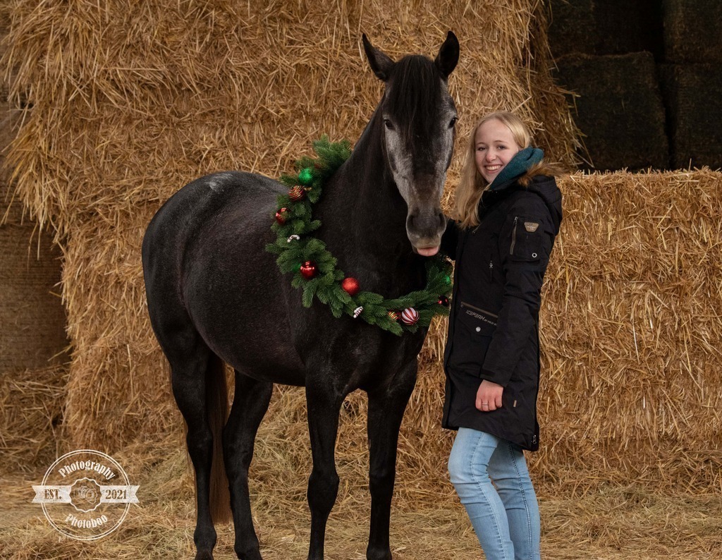 Lieblingsbilder_Photoboo_16 | Pferde- und Hundefotografie in Köln und Umgebung von Vanessza Csuka - Realisiert mit Pictrs.com