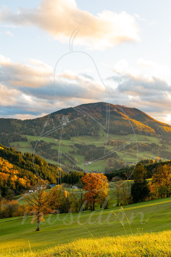 Prochenberg im Herbstkleid | Ihre Fotografin im Lungau, ihre Fotografin im Mostviertel, Wandbilder Onlineshop, Imagefotos für Ihr Unternehmen,  - Realisiert mit Pictrs.com