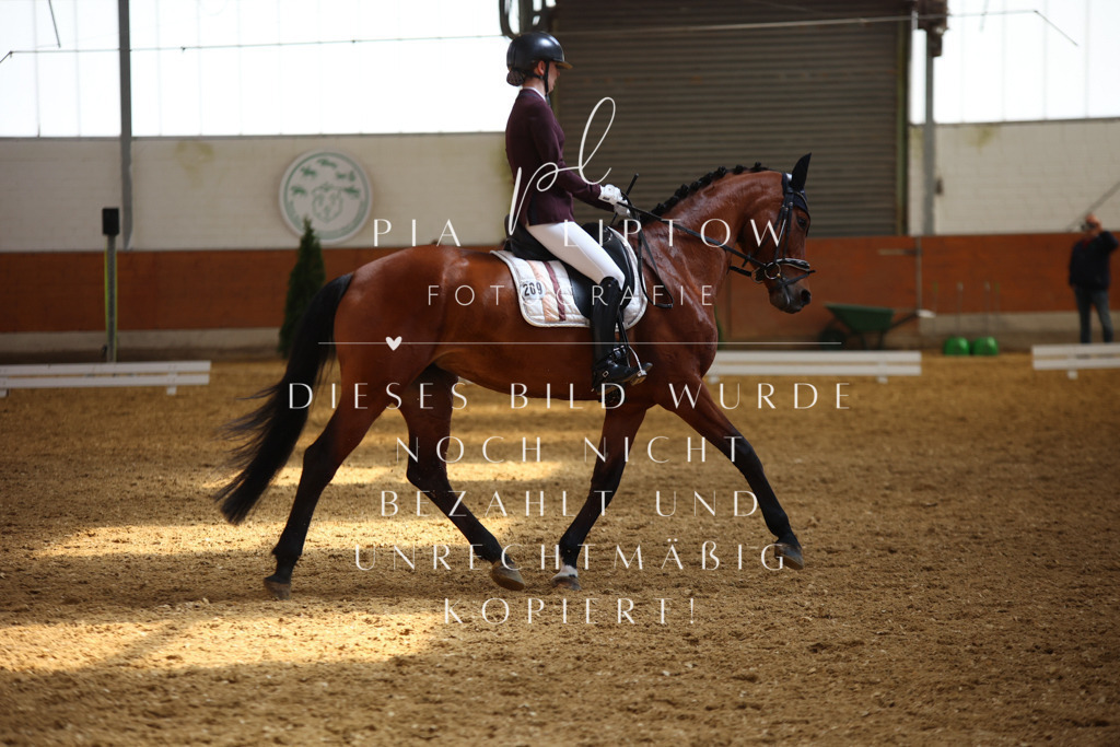 IMGT4698 | pl-fotografie