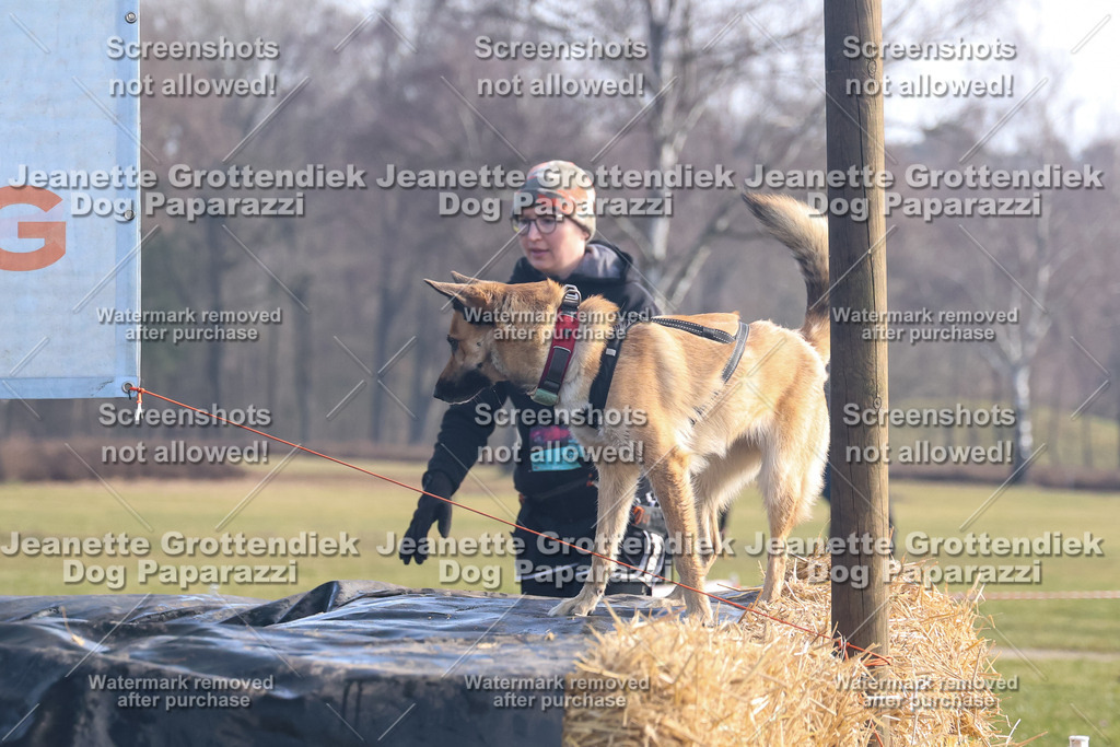 Dog Paparazzi - Strongdog North Mrz26-1032 | Dog Paparazzi Jeanette Grottendiek Fotografie & Videografie - Realisiert mit Pictrs.com