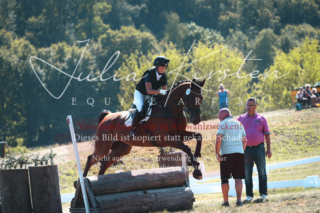 DSC_8396 | Pferde- und Turnierfotografie in Westsachsen. Pferdeportraits, Auftragszeichnungen und intuitive Kunst.
