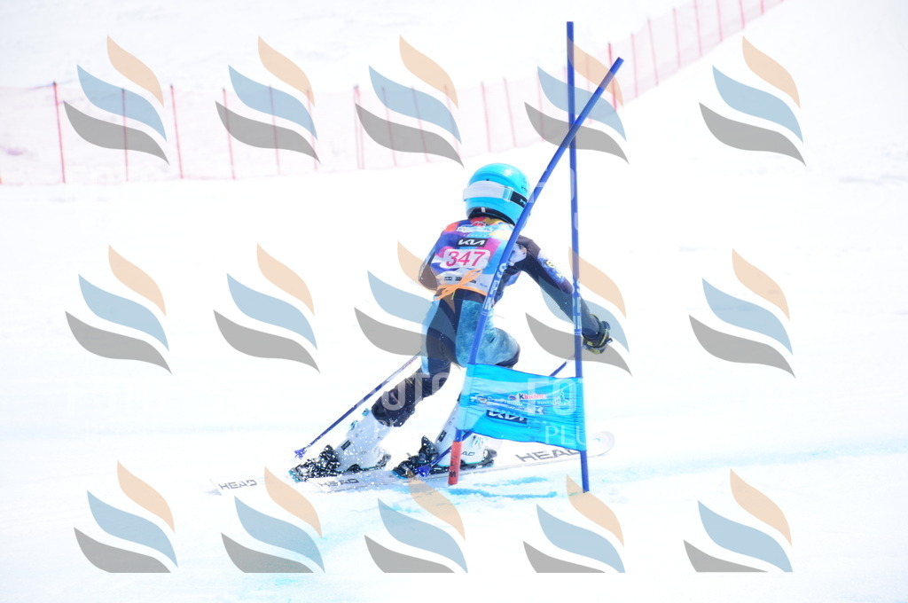 DSC_7101 | holidayphoto