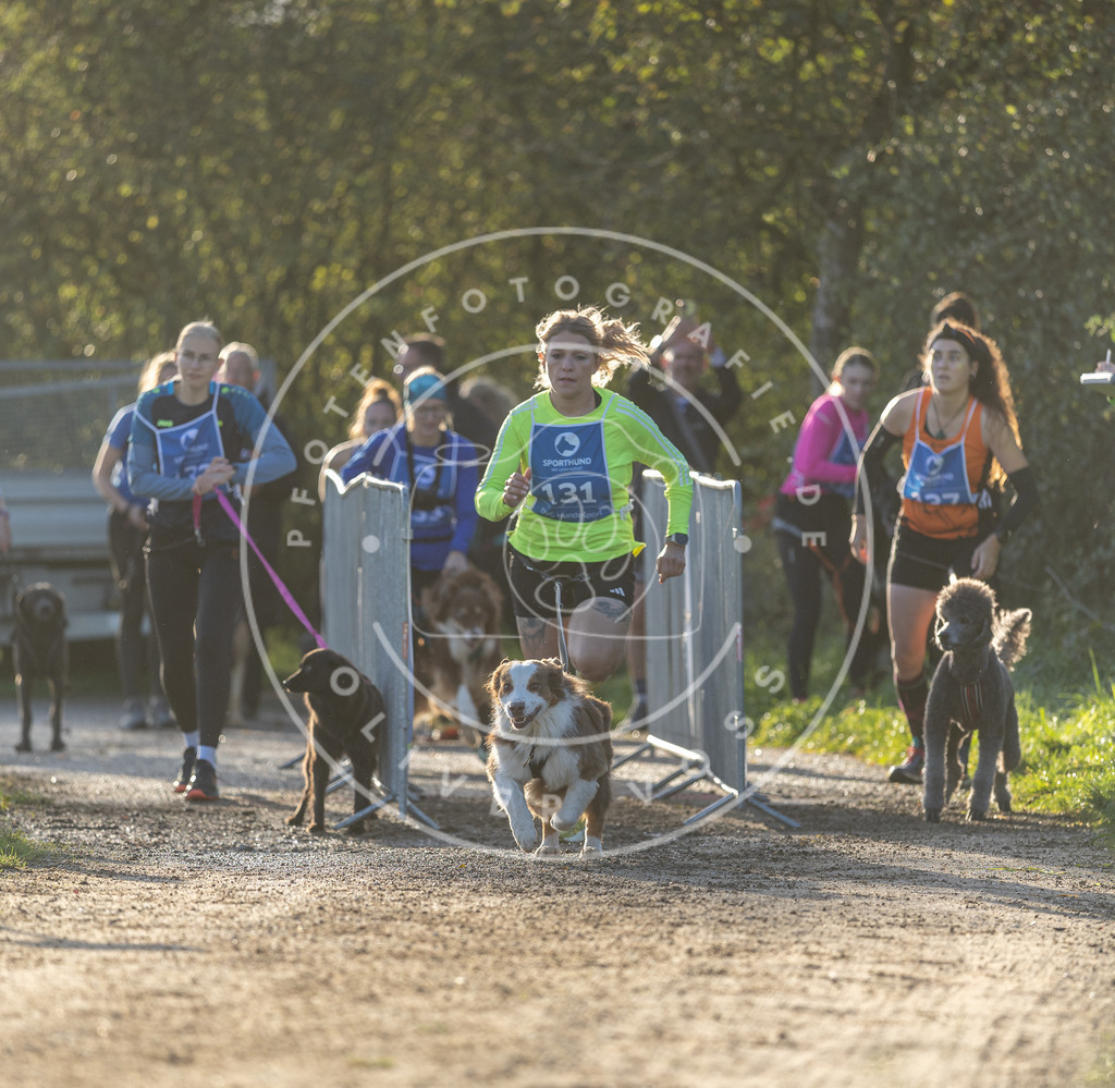 Pfotenfotografie.de_DV3A2868 | Hundefotografie, Tierfotograf, Pfotenfotografie, Fotoshooting Hund, Hunde Portrait, Hundesport, Hundeportraits, Heideshooting, Hunde, Sportfotograf, Hundefotograf, Turnierhundsport, THS, canicross - Realisiert mit Pictrs.com