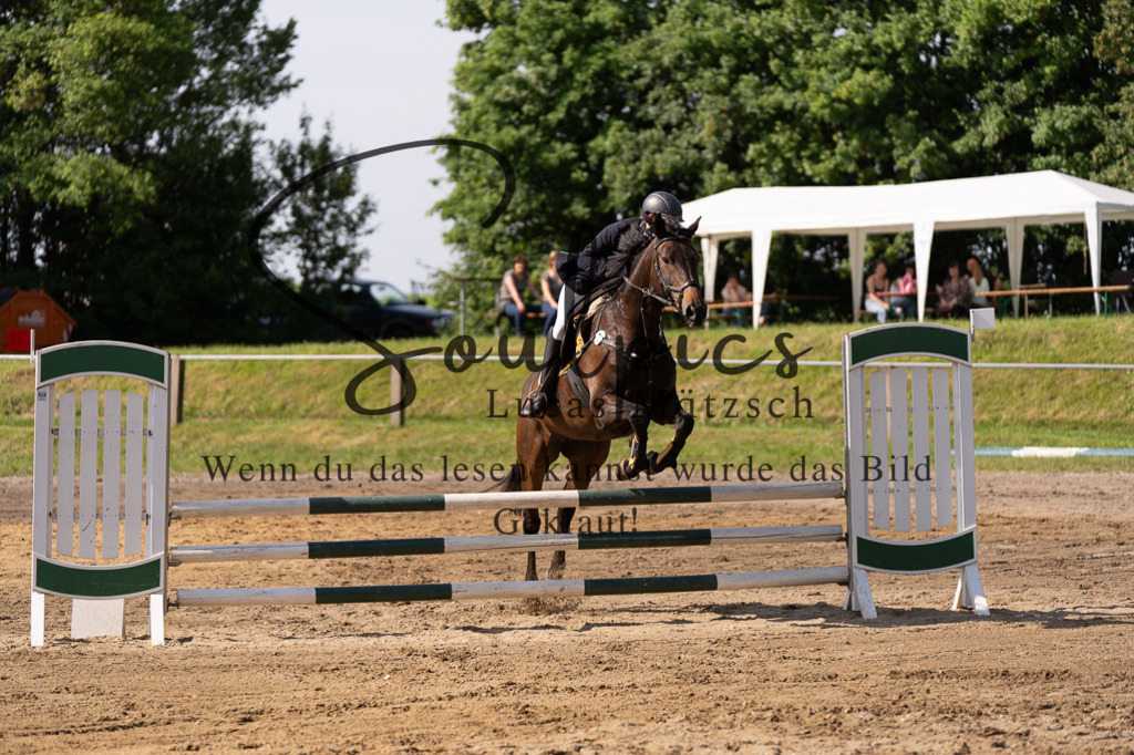 A7507279 | Turnier/Reitfotograf