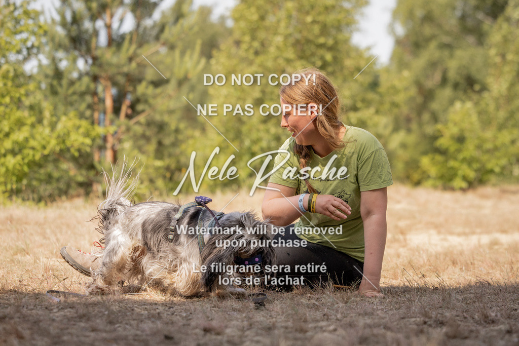 nelerasche_soDD2_369 | nelerasche