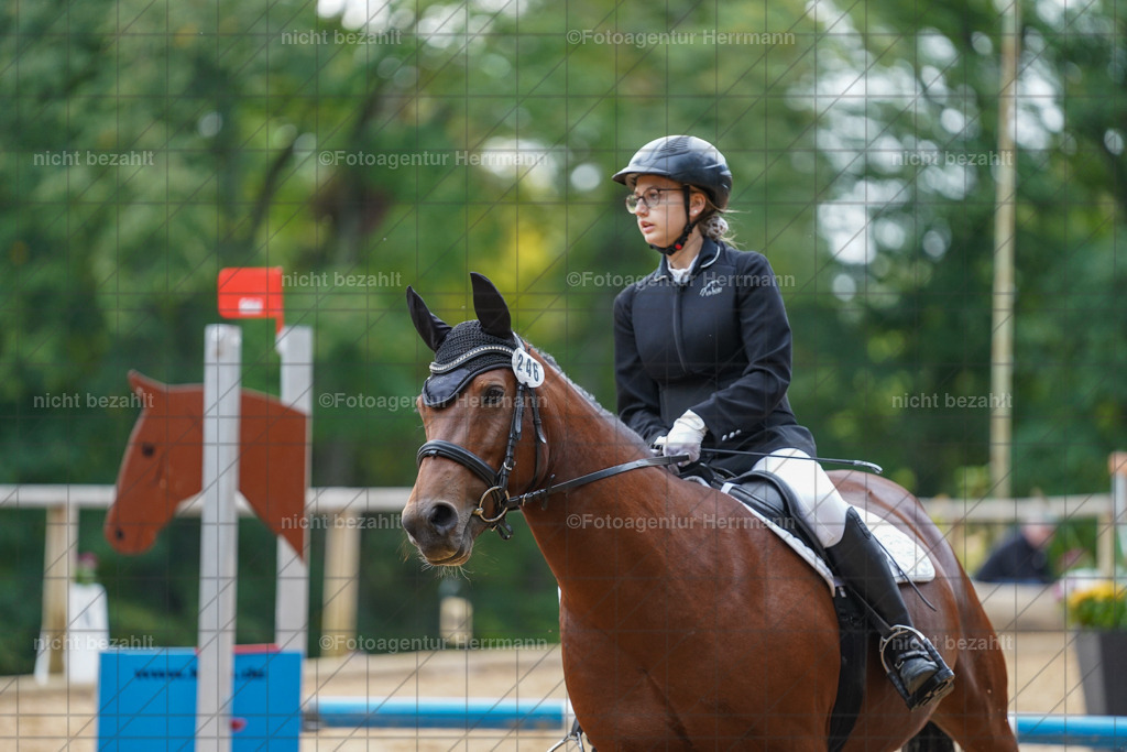 20231008-SN_01194 | Professionelle Turnier- und Reitsportfotografie - mit dem Finger am Auslöser. Pferdebilder aus dem Reitsport von den Turnierfotografen  Bayern , Pferdefotograf Bayern, Pferdeshooting Turnierbilder, Hochzeitsfotograf, Eventfotograf, Hochzeitsbilder