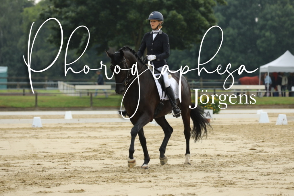 IMG_5426 | photographesa-joergens - Realisiert mit Pictrs.com