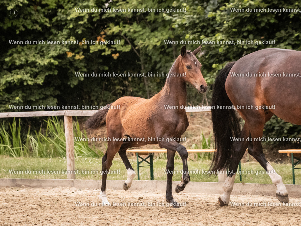 A10I7086 | photographylinaismer - Realisiert mit Pictrs.com