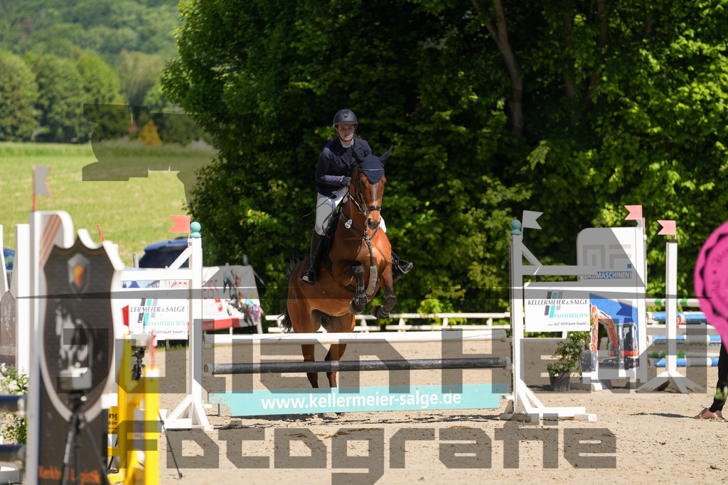 DSC02178 | Julian Held Fotografie - Realisiert mit Pictrs.com