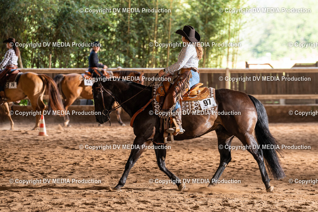 Erbach Tag 1-0973 | dv-media-shop - Realisiert mit Pictrs.com