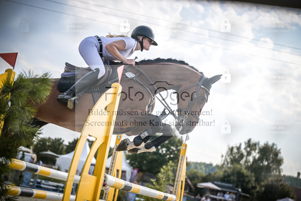 DOS_9585 | Entdecke hochwertige Reitturnierfotos von Foto Oger. Professionell, emotional und authentisch – jetzt Lieblingsmomente im Shop bestellen. - Realisiert mit Pictrs.com