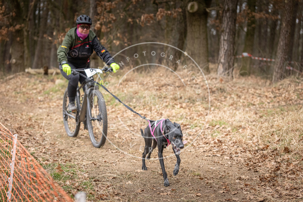 Pfotenfotografie_DV3A1930 | Hundefotografie, Tierfotograf, Pfotenfotografie, Fotoshooting Hund, Hunde Portrait, Hundesport, Hundeportraits, Heideshooting, Hunde, Sportfotograf, Hundefotograf, Turnierhundsport, THS,  - Realisiert mit Pictrs.com
