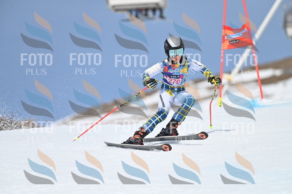 BGV_2251 | holidayphoto