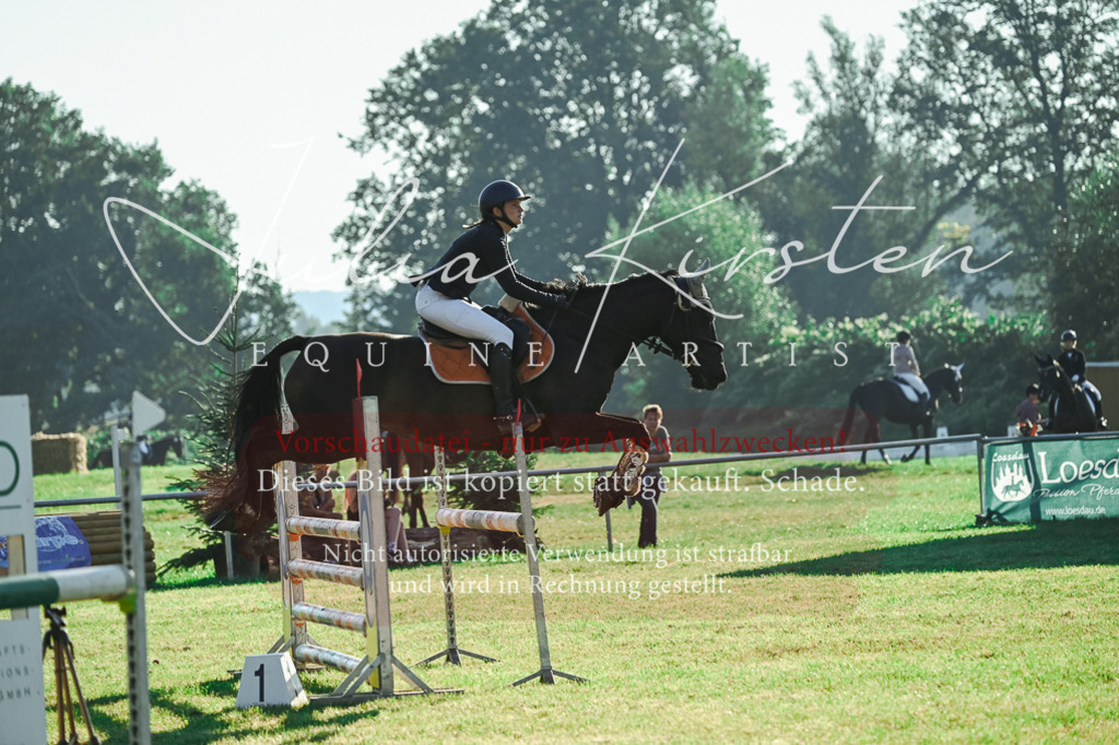 DSC_4425 | Pferde- und Turnierfotografie in Westsachsen. Pferdeportraits, Auftragszeichnungen und intuitive Kunst.