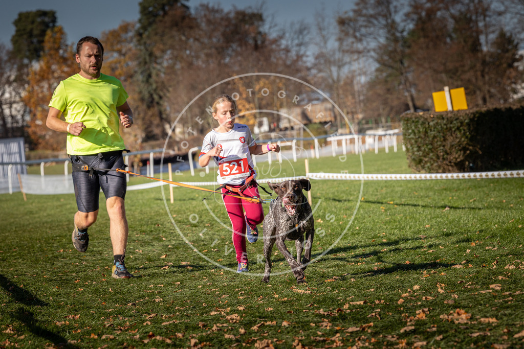 CaniXpix_0L8A7103 | Hundefotografie, Tierfotograf, Pfotenfotografie, Fotoshooting Hund, Hunde Portrait, Hundesport, Hundeportraits, Heideshooting, Hunde, Sportfotograf, Hundefotograf, Turnierhundsport, THS,  - Realisiert mit Pictrs.com