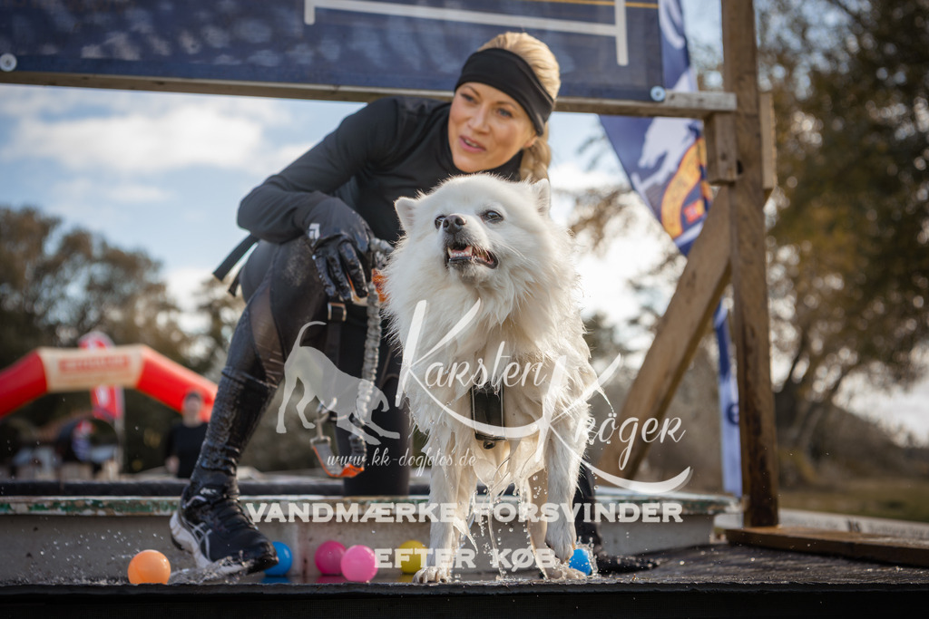 1303_ZZ98857-2 | kk-dogfotos