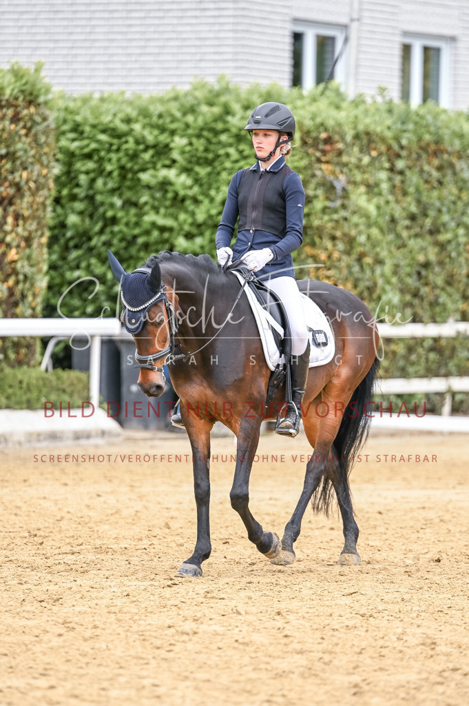 Schugtsche-Aluta25-44.DresssurreiterWB-113 | Schugtsche Fotografie - Realisiert mit Pictrs.com