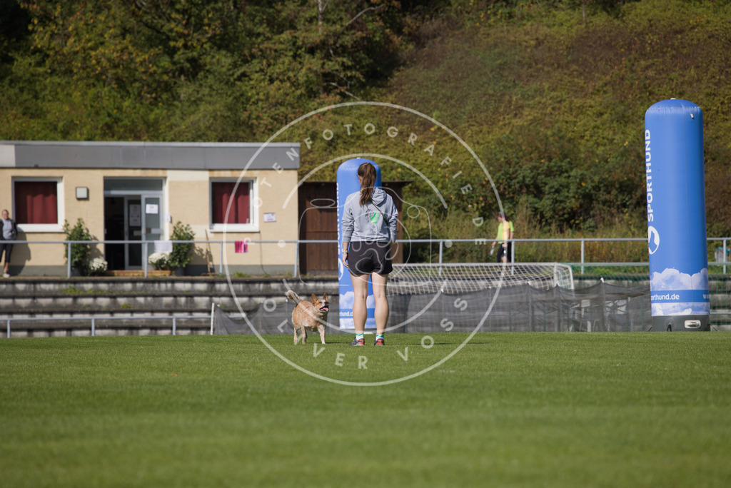 0L8A2470 | Hundefotografie, Tierfotograf, Pfotenfotografie, Fotoshooting Hund, Hunde Portrait, Hundesport, Hundeportraits, Heideshooting, Hunde, Sportfotograf, Hundefotograf, Turnierhundsport, THS,  - Realisiert mit Pictrs.com