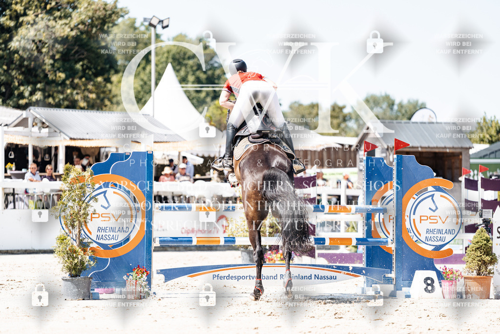 CK909723 | Turnierfotografie Pferdefotografie Trier Rheinland-Pfalz Pferdesport Reitsport Tierfotografie Sportfotografie Pferdevideo Pferdevideografie Equestrianvideography equestrianphotography  - Realisiert mit Pictrs.com