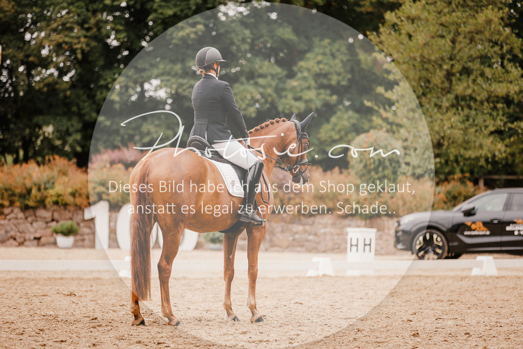 3I6A5897 | Stimmungsvolle Portraits und Reitsportfotografie im Ruhrgebiet und im Münsterland.

Pferdefotografie, Hundefotografie, Tierfotografie, Reportagen, Portraits von Tier und Mensch, Turnierfotografie in Bochum, Recklinghausen, Marl, Haltern am See, Dülmen.. - Realisiert mit Pictrs.com