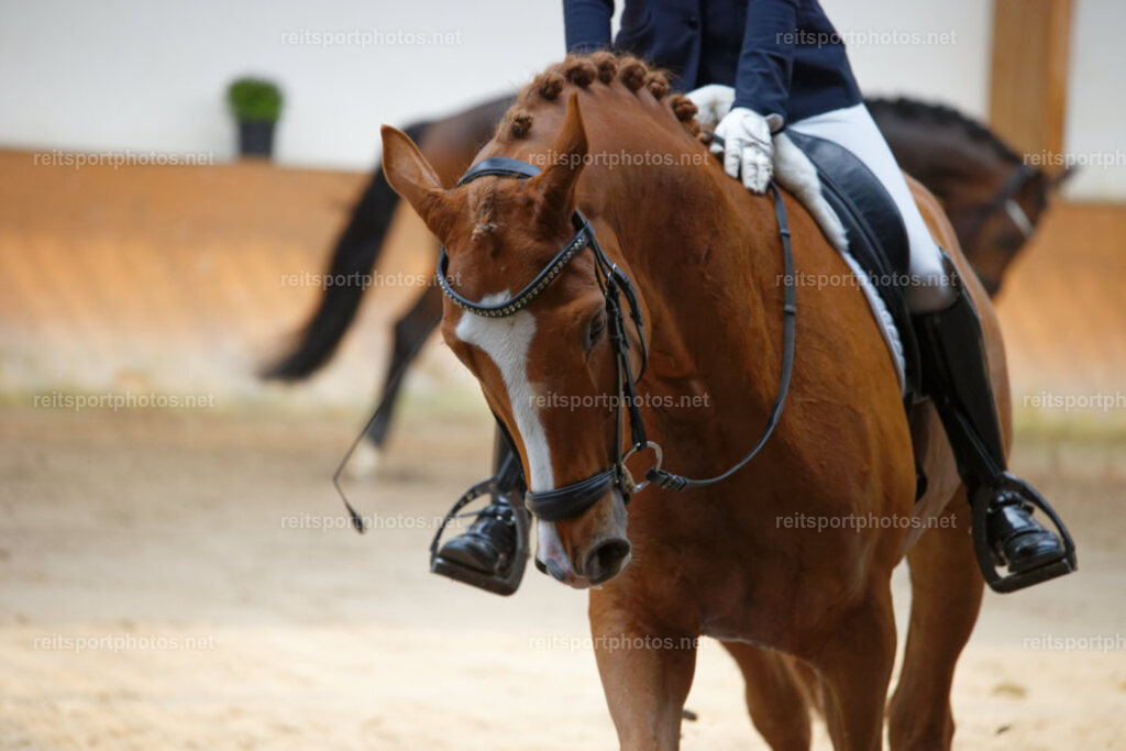 JHE_0543 | JoYa Fotografie - Realisiert mit Pictrs.com