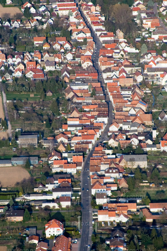 Altspeyerer Straße | Luftbild: Altspeyerer Straße in Lingenfeld im Bundesland Rheinland-Pfalz in Deutschland. Foto: IMG_9981.jpg vom 29.03.2008 durch Werner Riehm/FLY-FOTO.de - Realisiert mit Pictrs.com