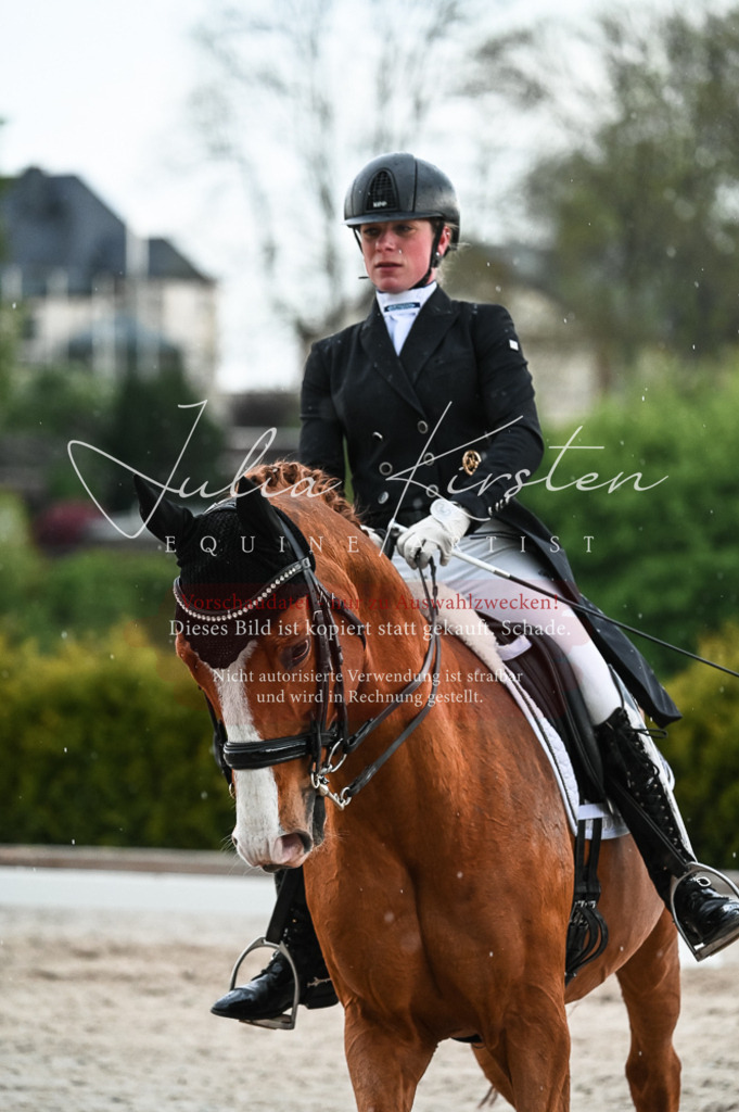 20230514_JK-Röhrsdorf-21-648 | Pferde- und Turnierfotografie in Westsachsen. Pferdeportraits, Auftragszeichnungen und intuitive Kunst.