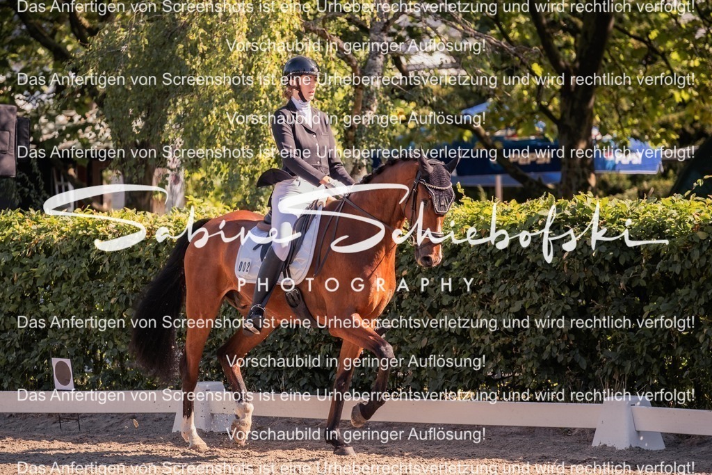 2025_05_31_DSCF3020 | People- und Tierfotografie, Imageaufnahmen, Veranstaltungsfotografie und Wandbilder aus der Natur ★ Made in Germany ✔️ Druck + Downloads ✔️ Naturfotografie in Top Qualität ★ schneller Versand, weltweite Lieferung! - Realisiert mit Pictrs.com