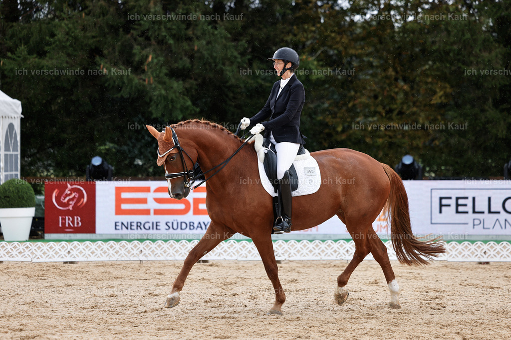 05-060-DRESSUR M_  -StoibPH-4921 | working equitationturnier fotograf videograf stoibphotography marixx film working equitation deutschland reitsport turnierfotografie eventfotografie equestrian events