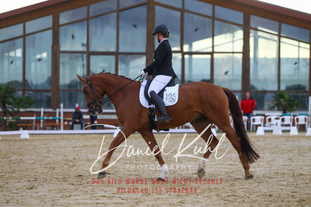 DKP43736 | Turniersportfotografie; Pferdefotografie; Dressurfotografie