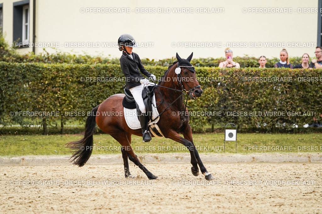 DSC00619 | Pferdegrafie