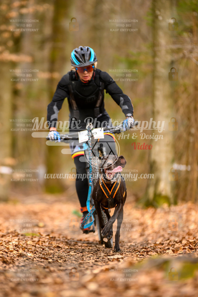 MompixPhotography_Habay2025_SA_Bike-95 | PayLife