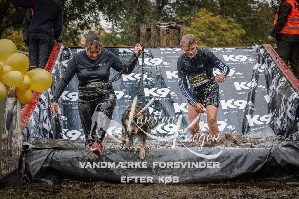 1132_ZZ92888 | kk-dogfotos