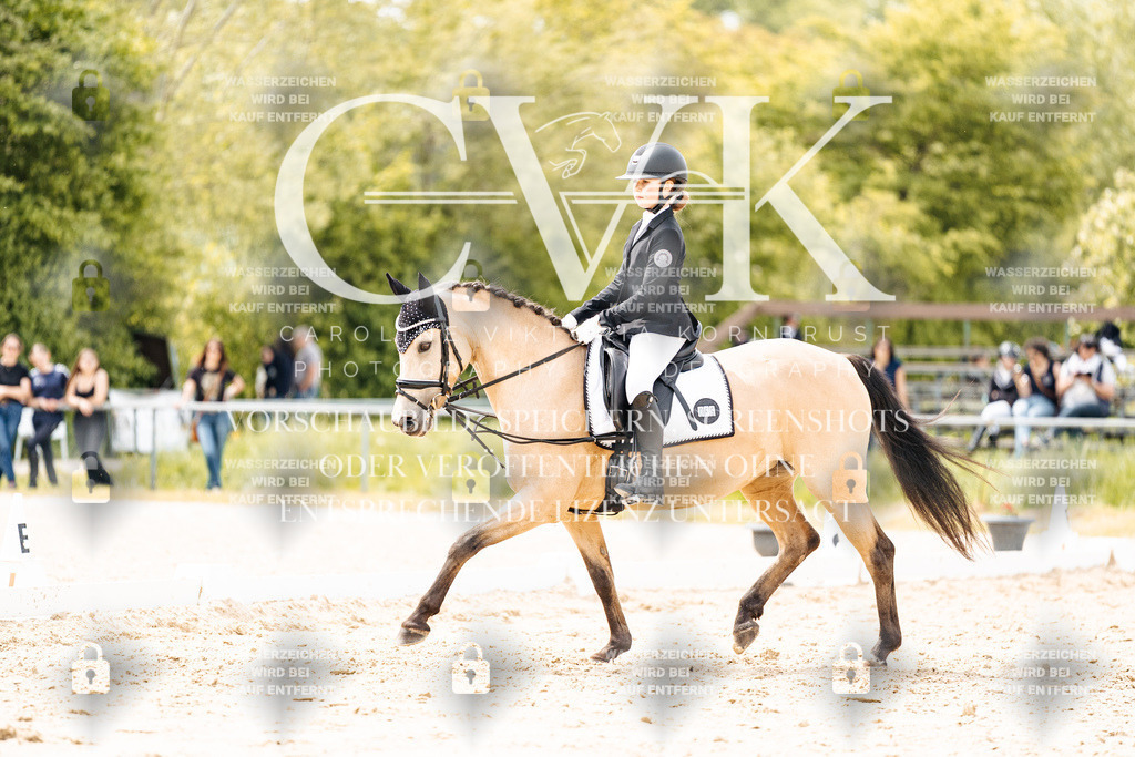 CK902496 | Turnierfotografie Pferdefotografie Trier Rheinland-Pfalz Pferdesport Reitsport Tierfotografie Sportfotografie Pferdevideo Pferdevideografie Equestrianvideography equestrianphotography  - Realisiert mit Pictrs.com