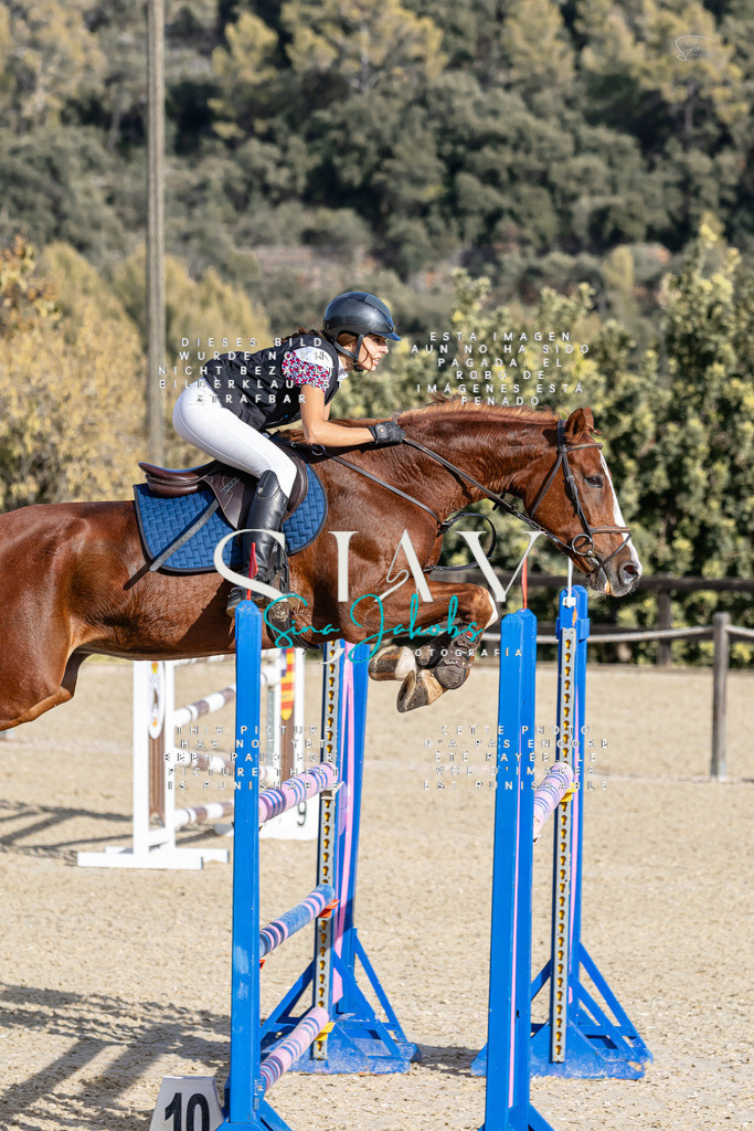 IMG_0172 | s-jay-photography - Realisiert mit Pictrs.com