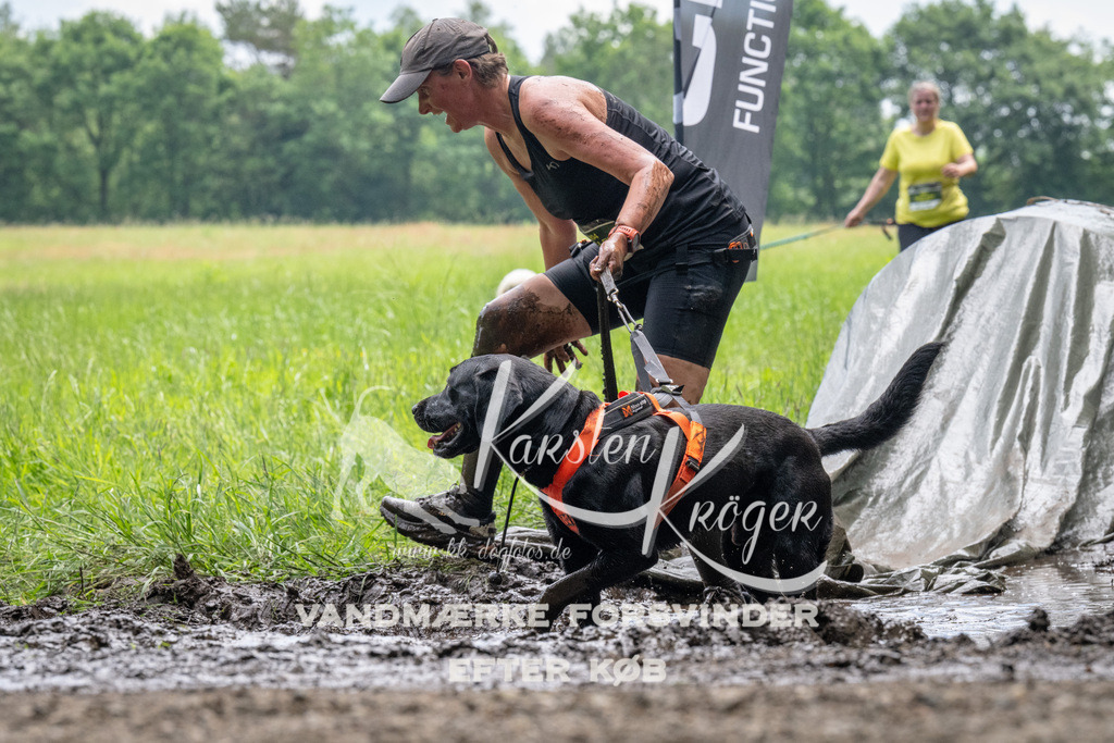 1120_ZZ92554 | kk-dogfotos