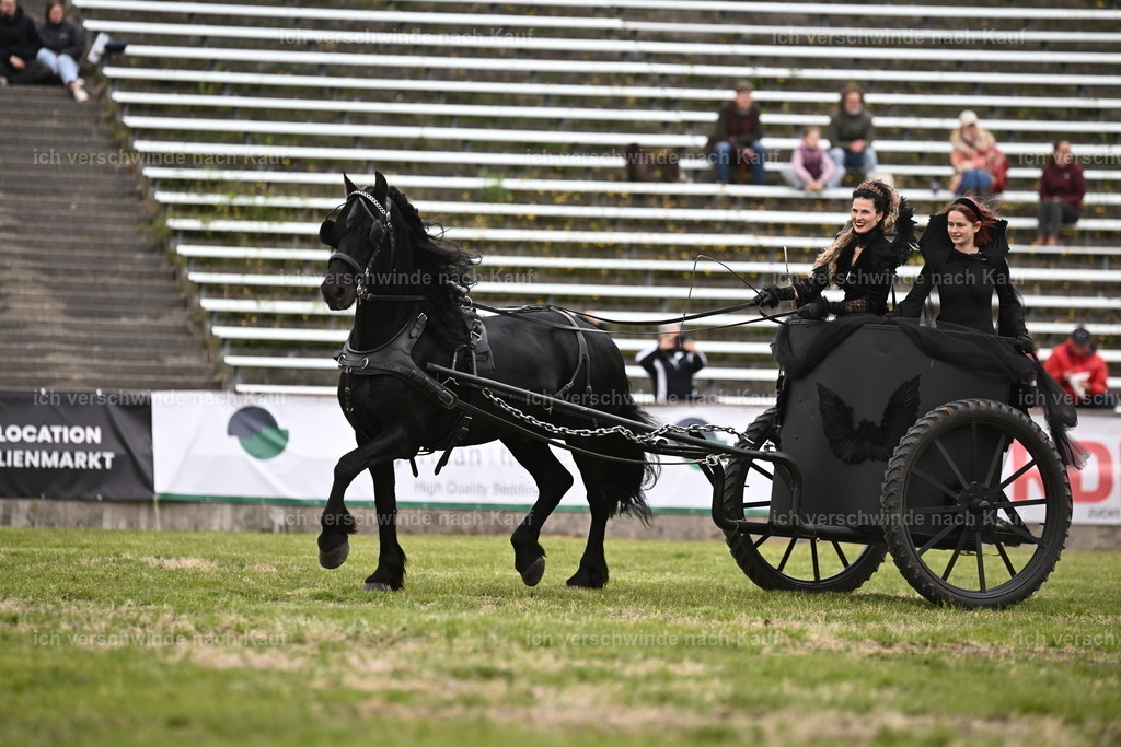 PI26_Show_Sara_Landvogt_226_1217.JPG | working equitationturnier fotograf videograf stoibphotography marixx film working equitation deutschland reitsport turnierfotografie eventfotografie equestrian events