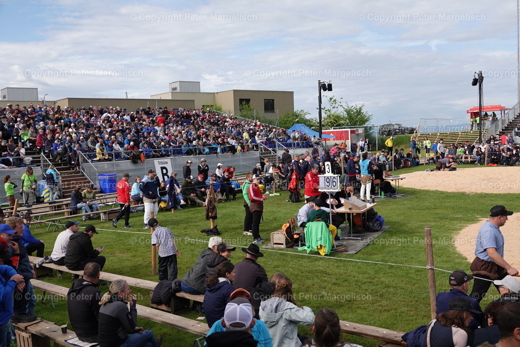 DSC00652 | Schwingen - Realisiert mit Pictrs.com