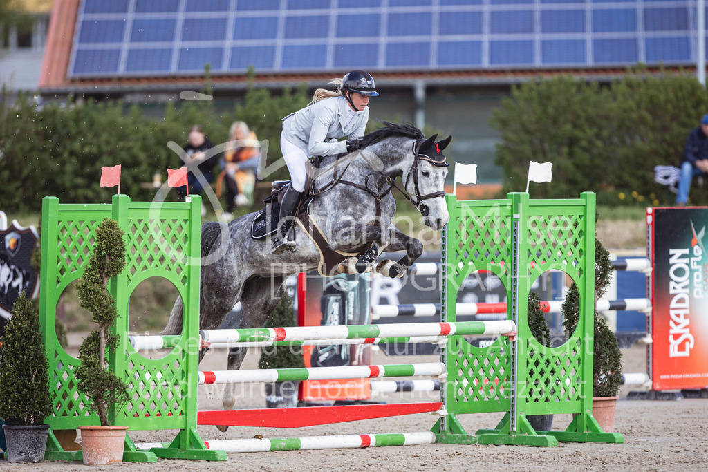 250419_Frühlingsfest_A-Stil1-460 | Deine schönsten Turniermomente als professionelle Fotos! Entdecke hochwertige Pferdesport-Fotografie im Online-Shop. Jetzt Fotos finden & bestellen!