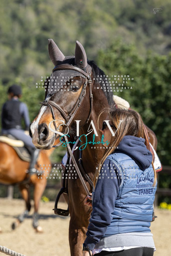 IMG_6773 | s-jay-photography - Realisiert mit Pictrs.com