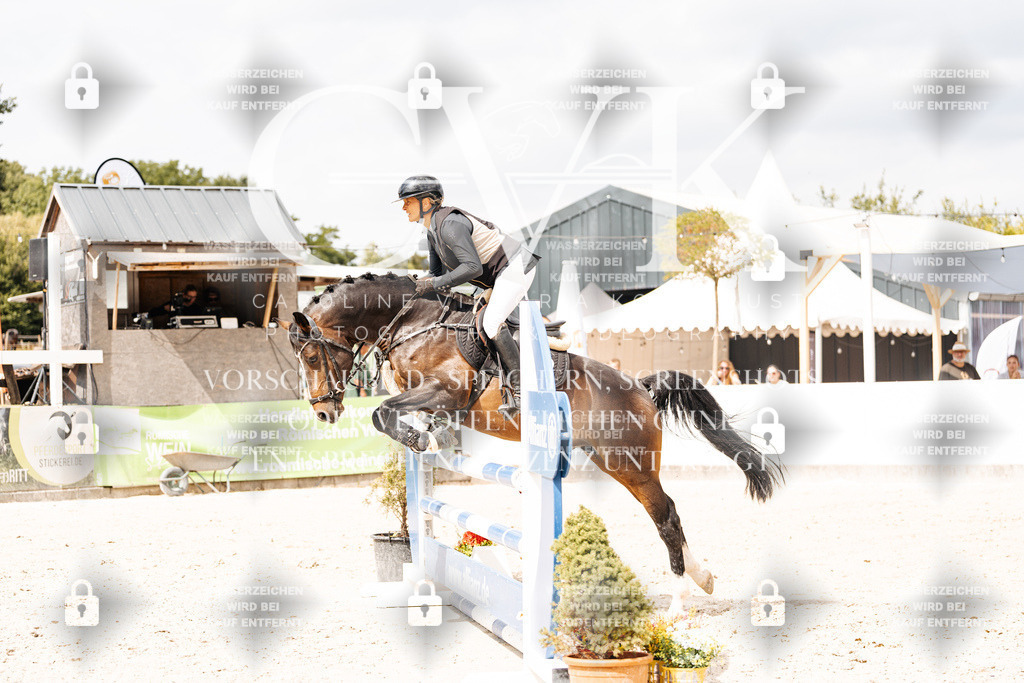 CK909238 | Turnierfotografie Pferdefotografie Trier Rheinland-Pfalz Pferdesport Reitsport Tierfotografie Sportfotografie Pferdevideo Pferdevideografie Equestrianvideography equestrianphotography  - Realisiert mit Pictrs.com