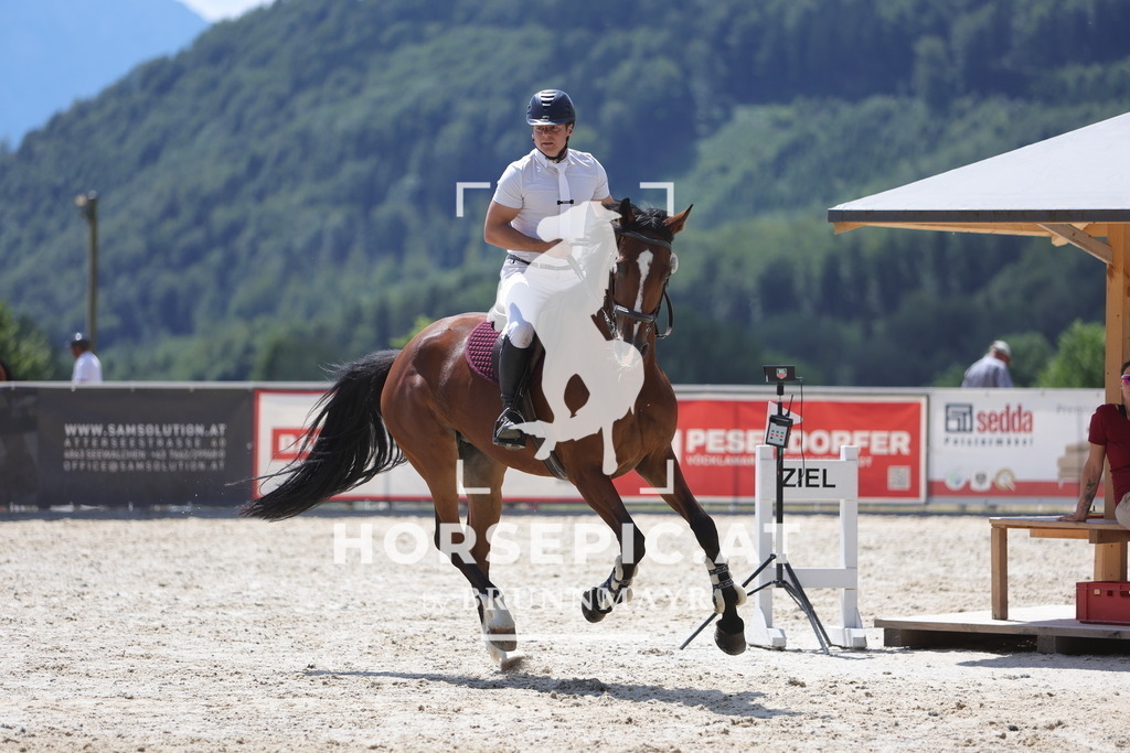 0P6A0508 | Willkommen bei Brunnmayr - Design & Fotografie – Ihrem Spezialisten für Reitturniere und Pferdeveranstaltungen in Oberösterreich, Salzburg und Bayern! Seit über 17 Jahren sind wir leidenschaftlich dabei.
